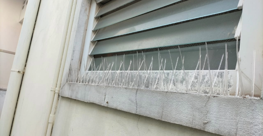 SAFETY NETS IN BENGALURU
